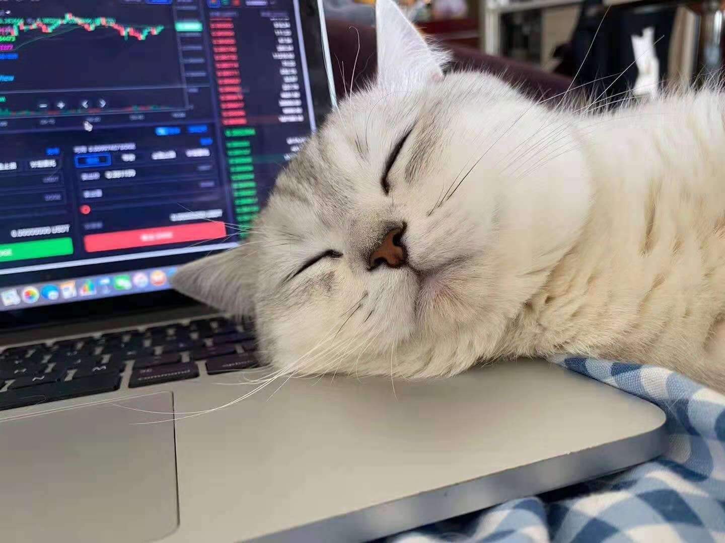 写给现在的自己